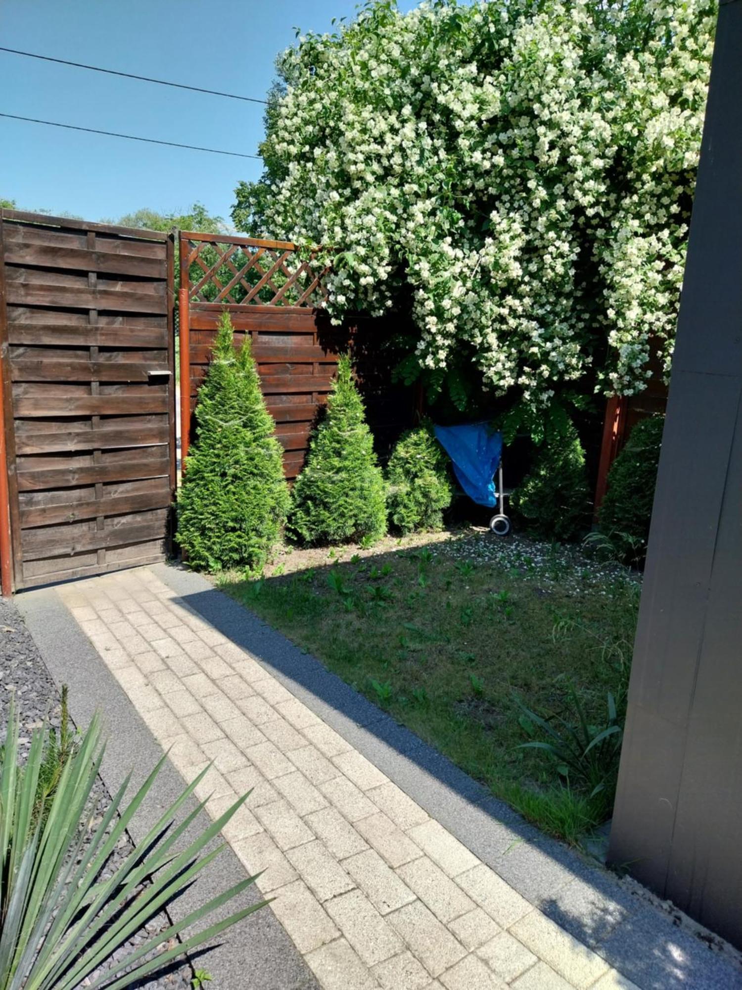 Apartament Antonio 3 Gdańsk Rom bilde